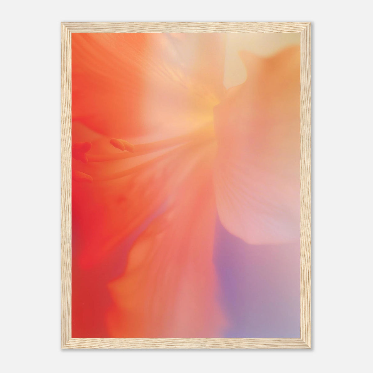 00c9d1ef-6889-45bf-a70e-91bc7b11410c