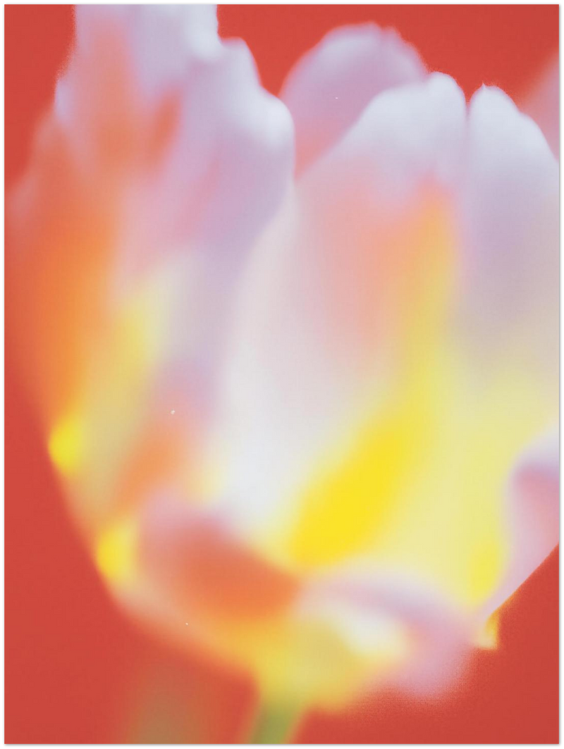 07709671-b4e8-4600-90a8-28b03ed3557b