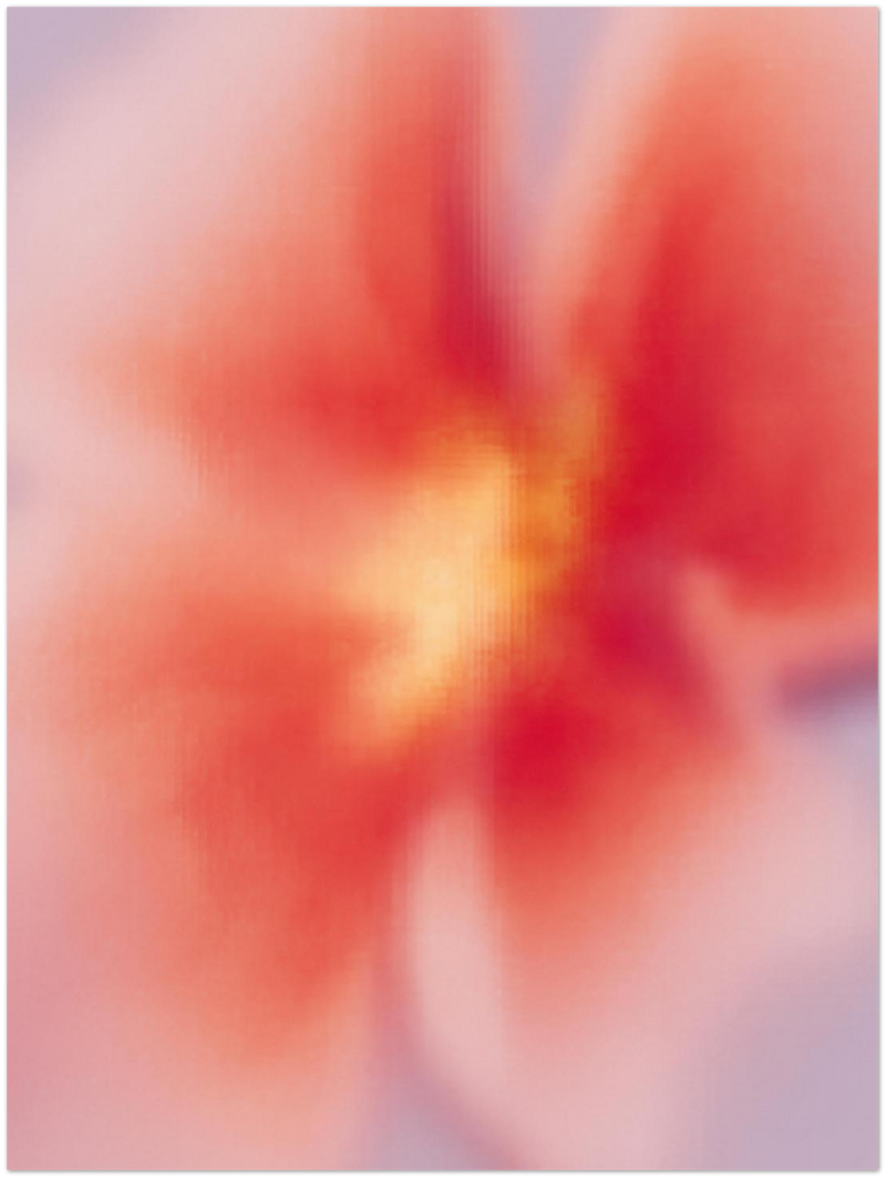 0e3b125e-d42c-47c3-8617-f5d3ed316376