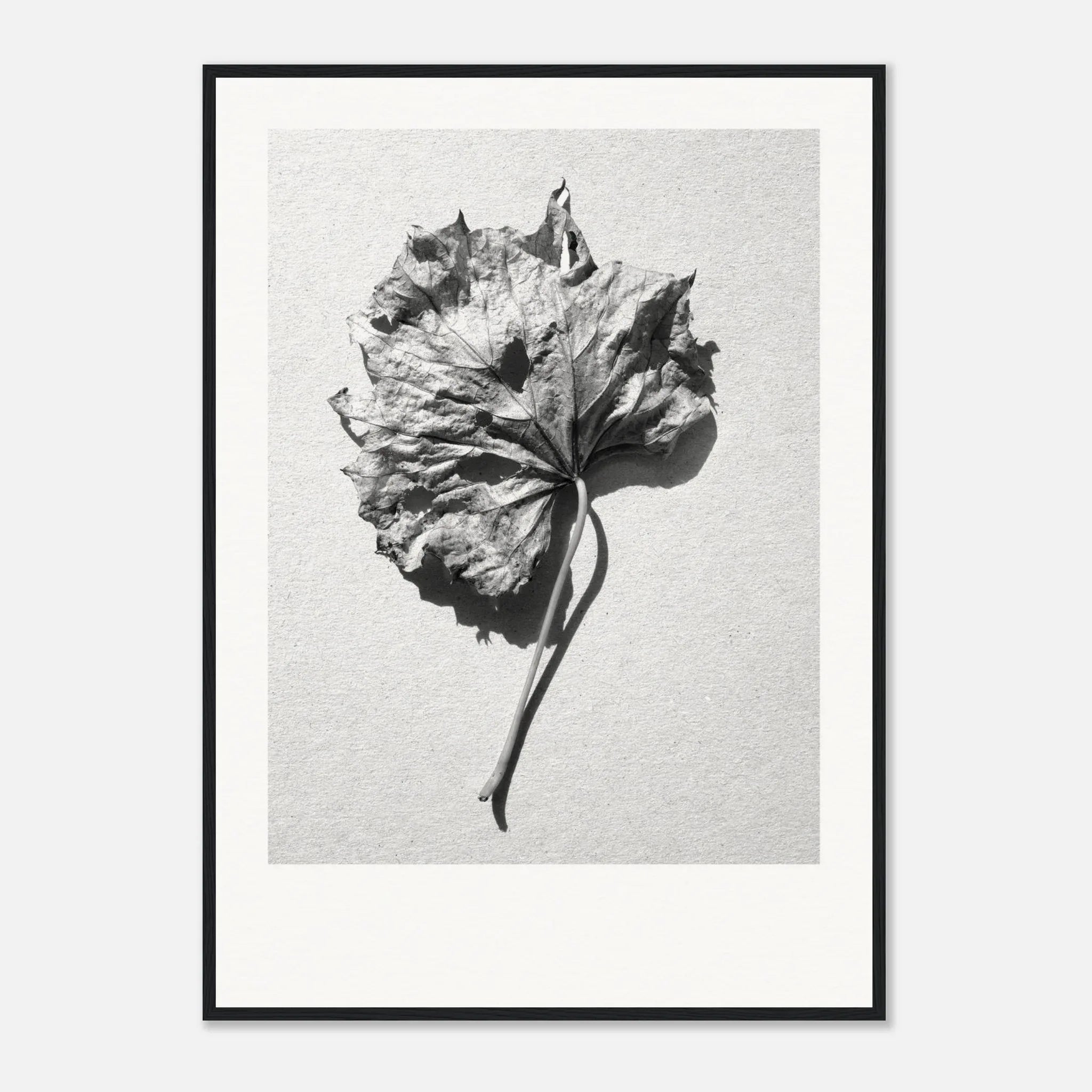 PRINTED PRINTED - www.printedprinted.com