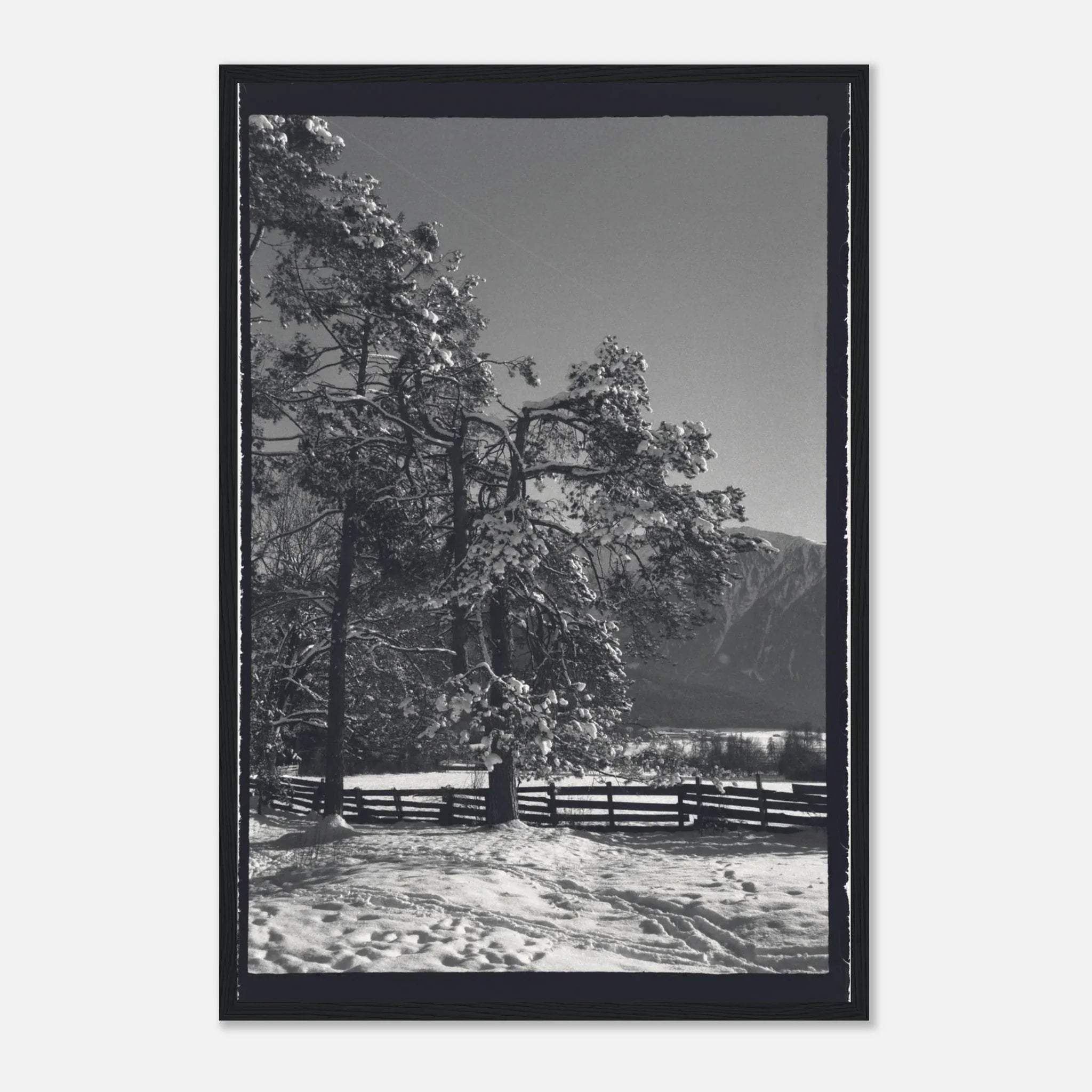 PRINTED PRINTED - www.printedprinted.com