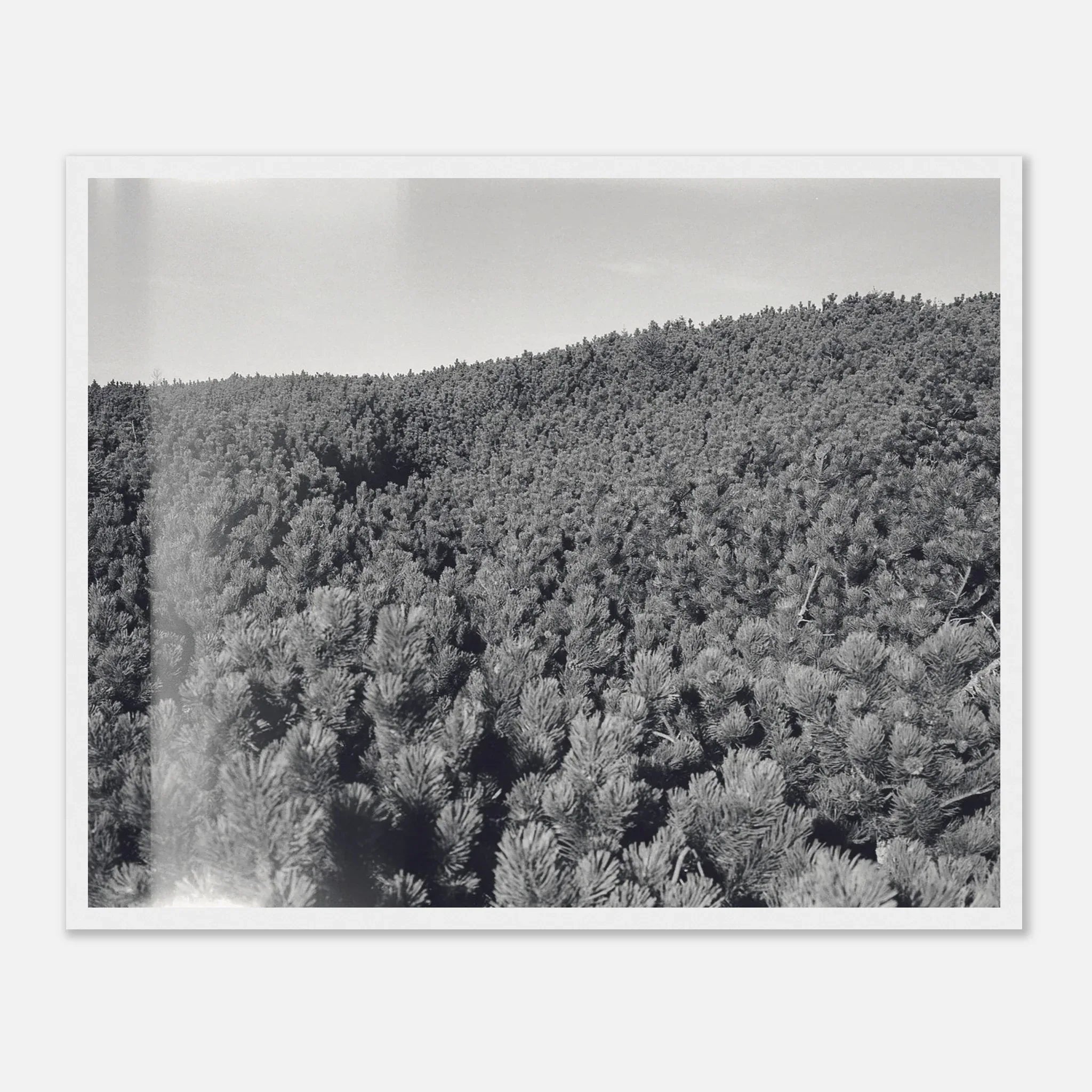 PRINTED PRINTED - www.printedprinted.com