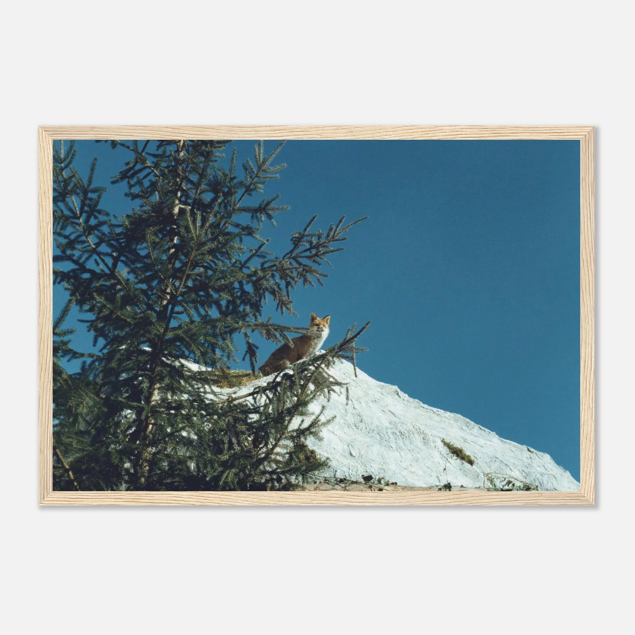 PRINTED PRINTED - www.printedprinted.com