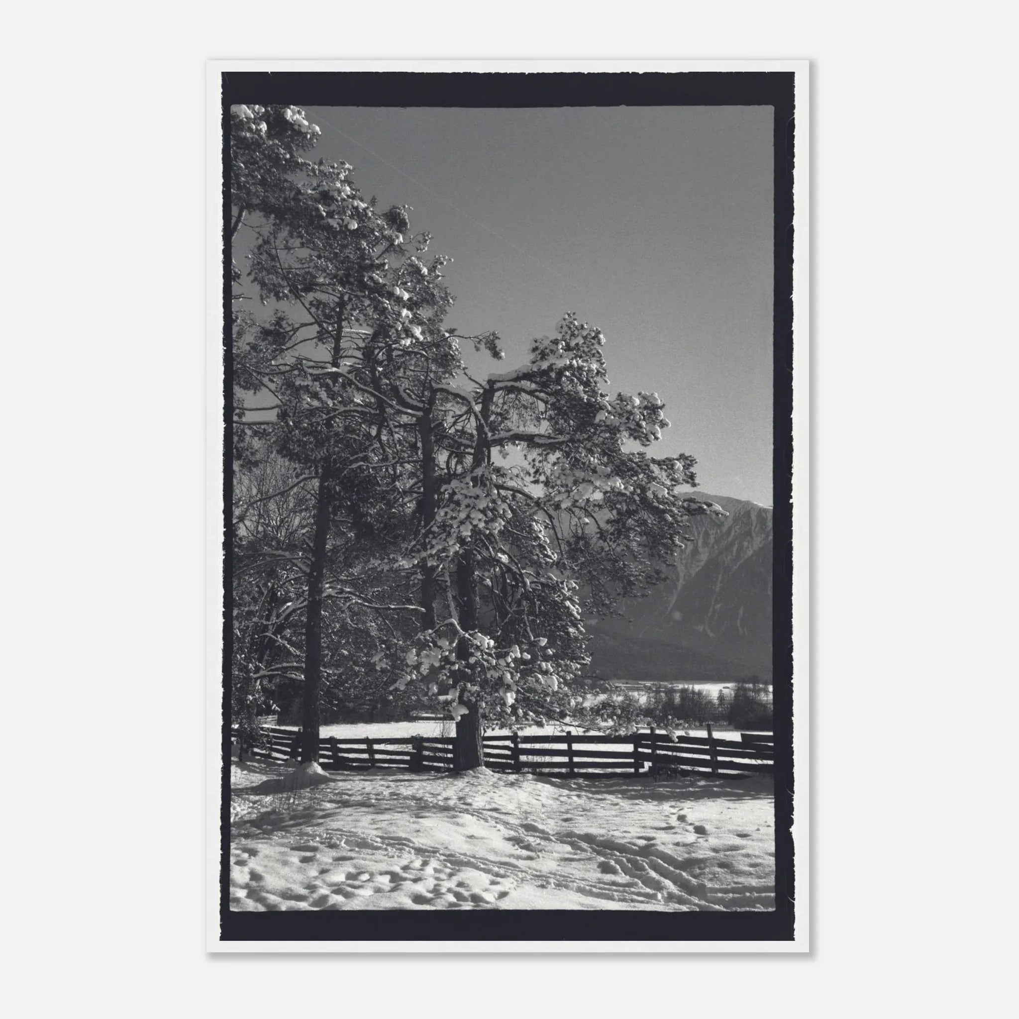 PRINTED PRINTED - www.printedprinted.com