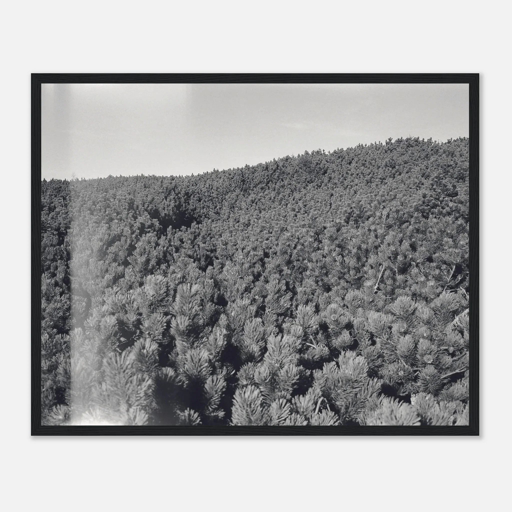 PRINTED PRINTED - www.printedprinted.com