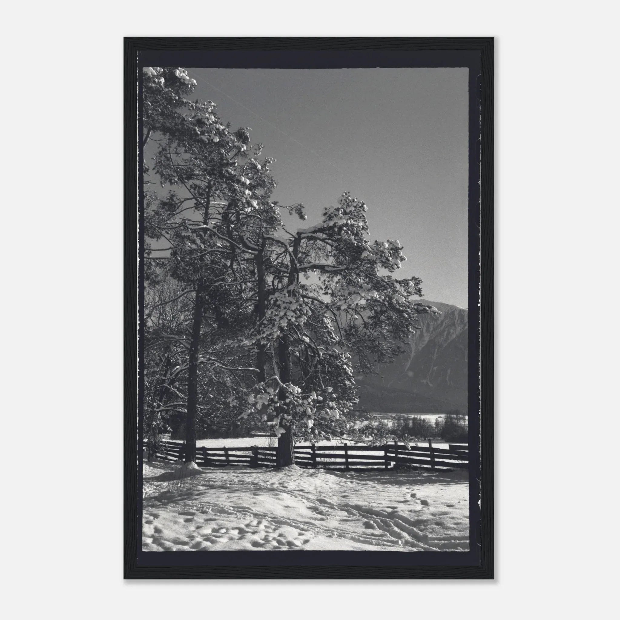 PRINTED PRINTED - www.printedprinted.com