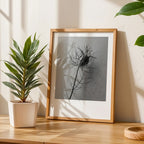 PRINTED PRINTED - www.printedprinted.com
