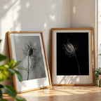 PRINTED PRINTED - www.printedprinted.com