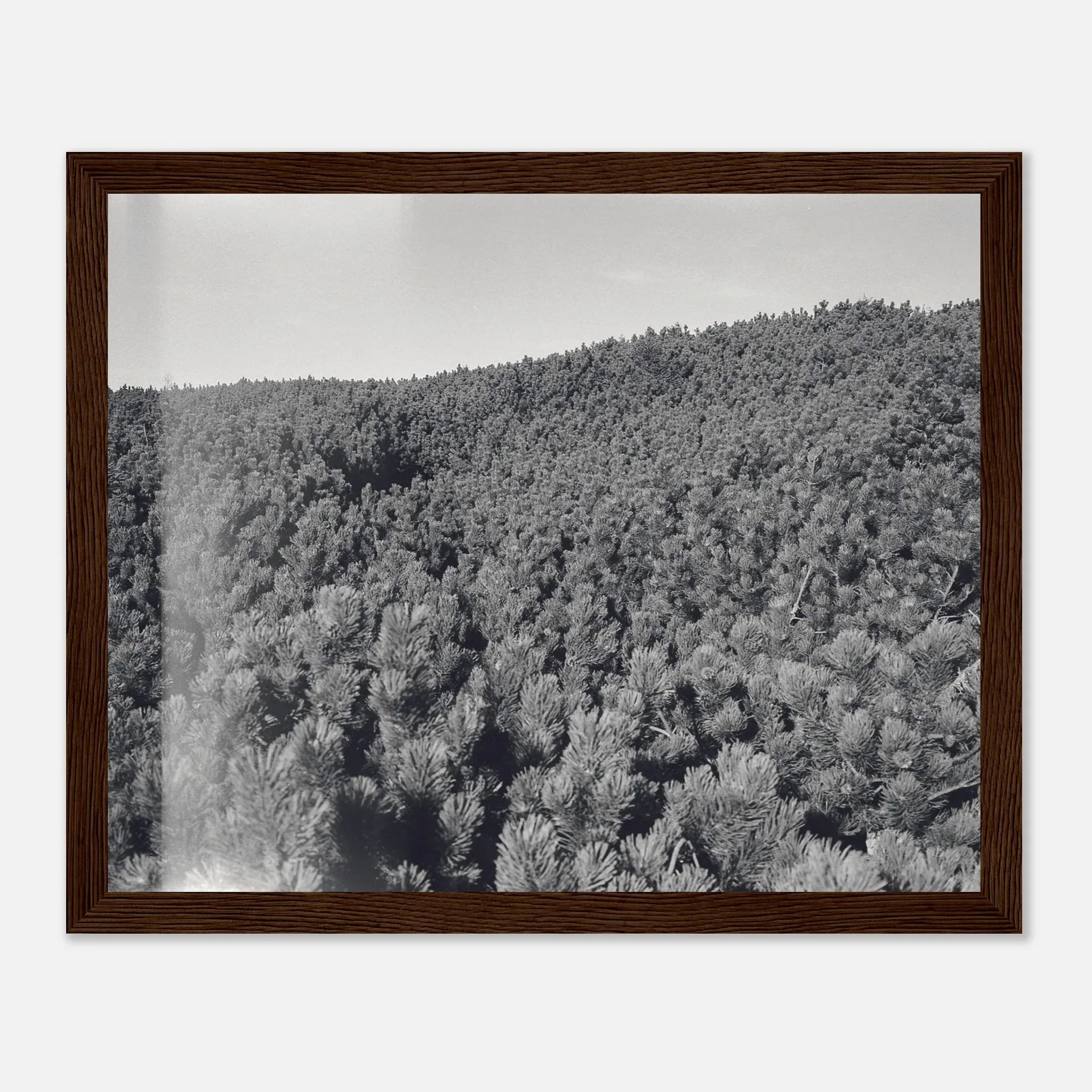 PRINTED PRINTED - www.printedprinted.com