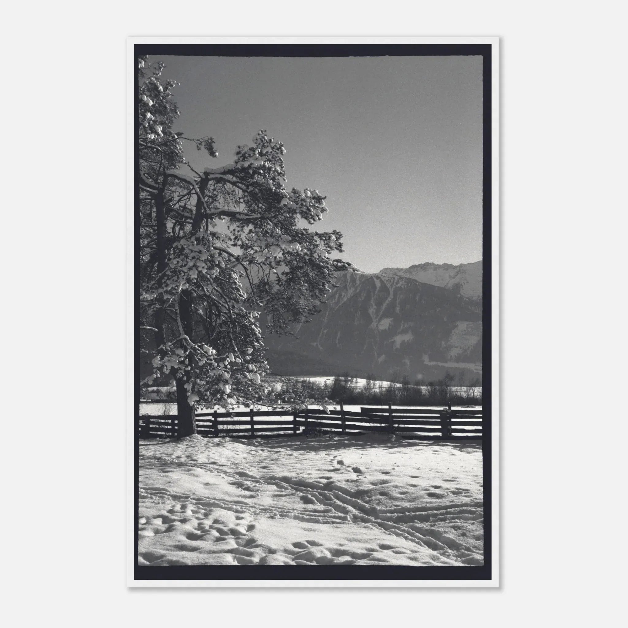 PRINTED PRINTED - www.printedprinted.com