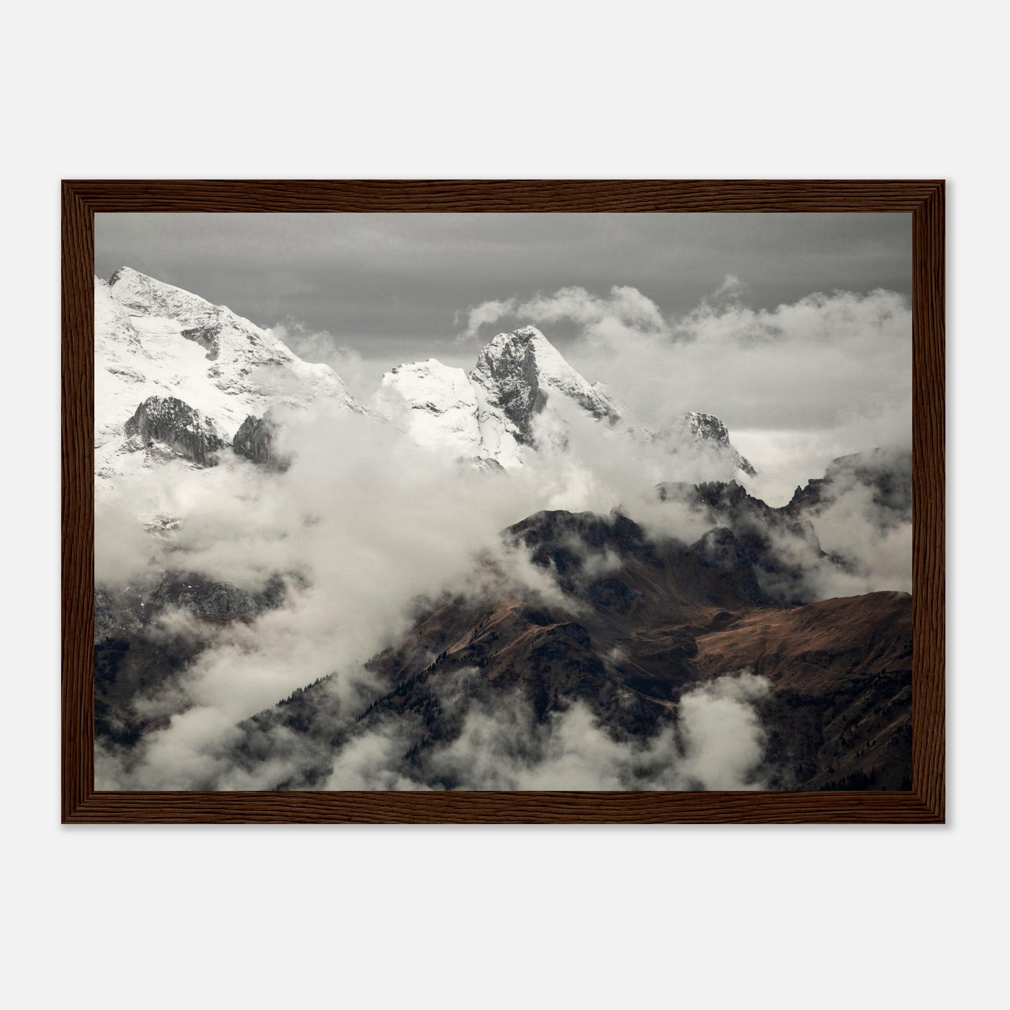 50895a91-6860-46f5-8c4e-498c84f712ef