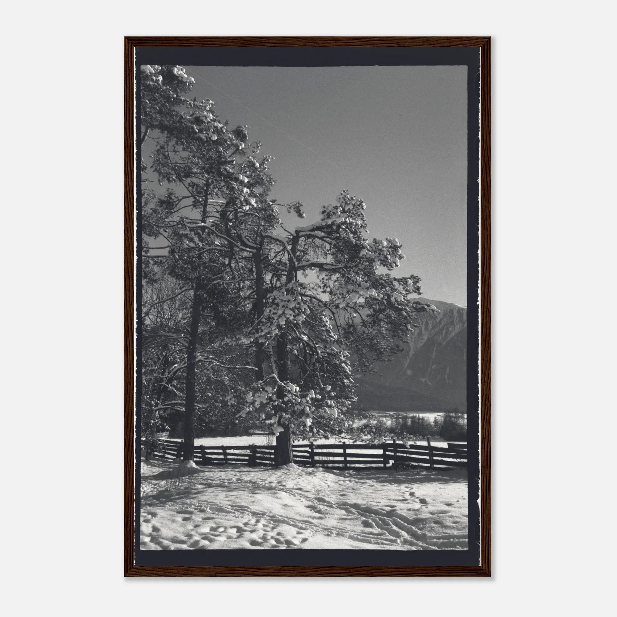 PRINTED PRINTED - www.printedprinted.com