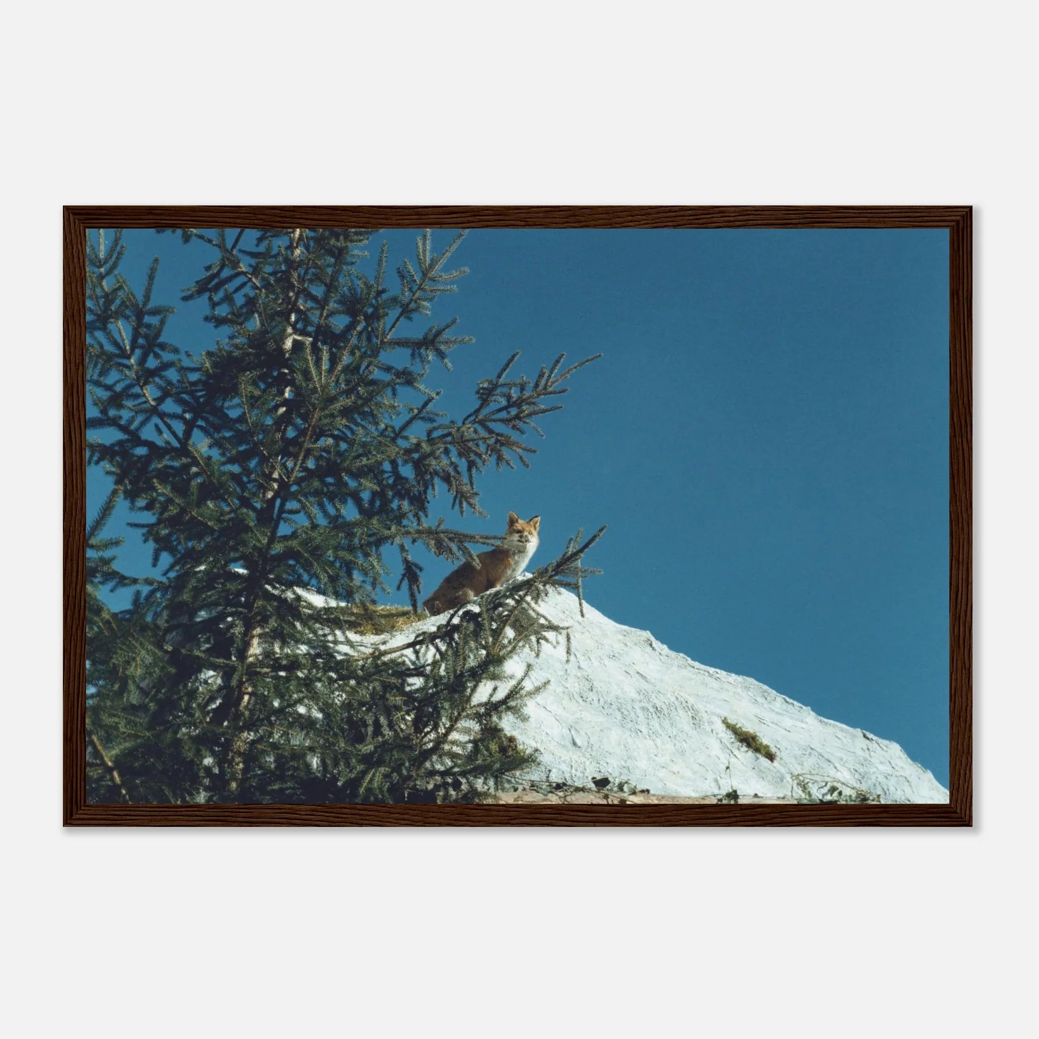 PRINTED PRINTED - www.printedprinted.com