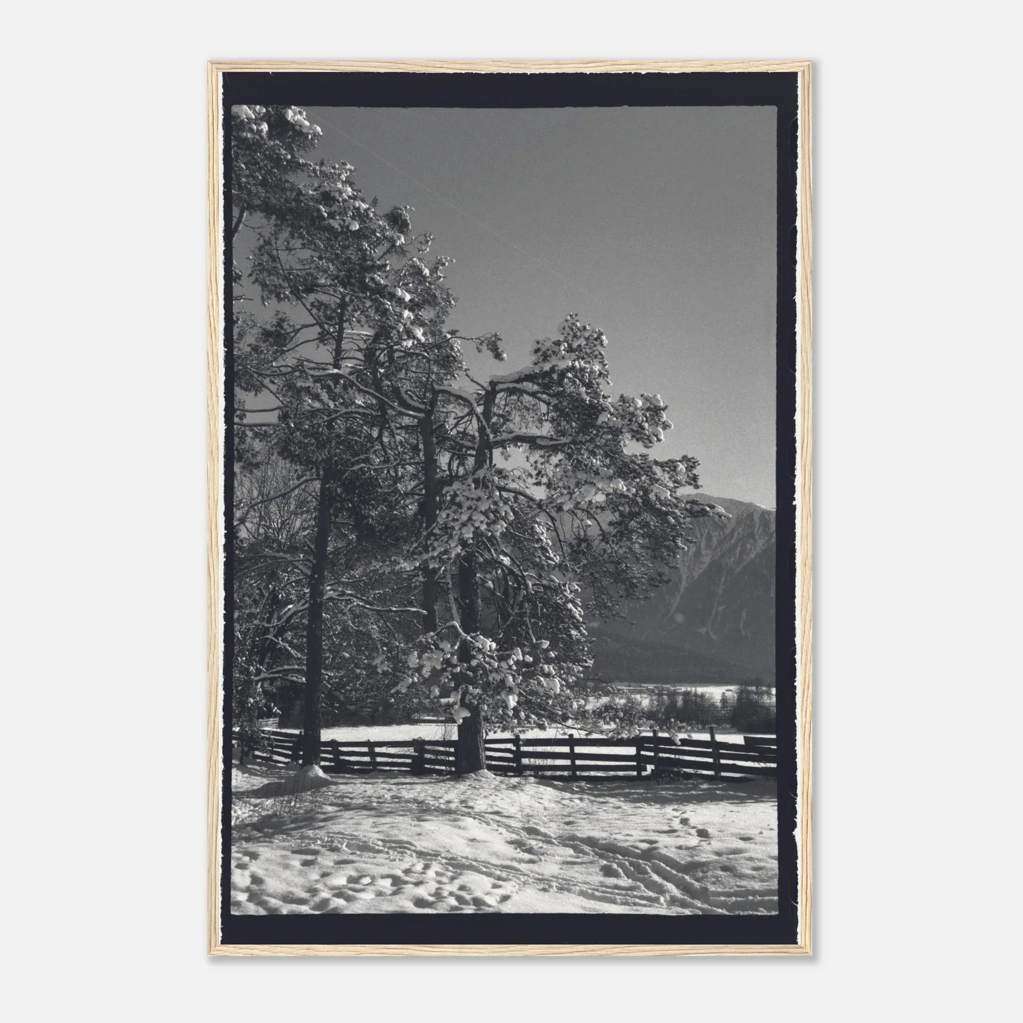 PRINTED PRINTED - www.printedprinted.com