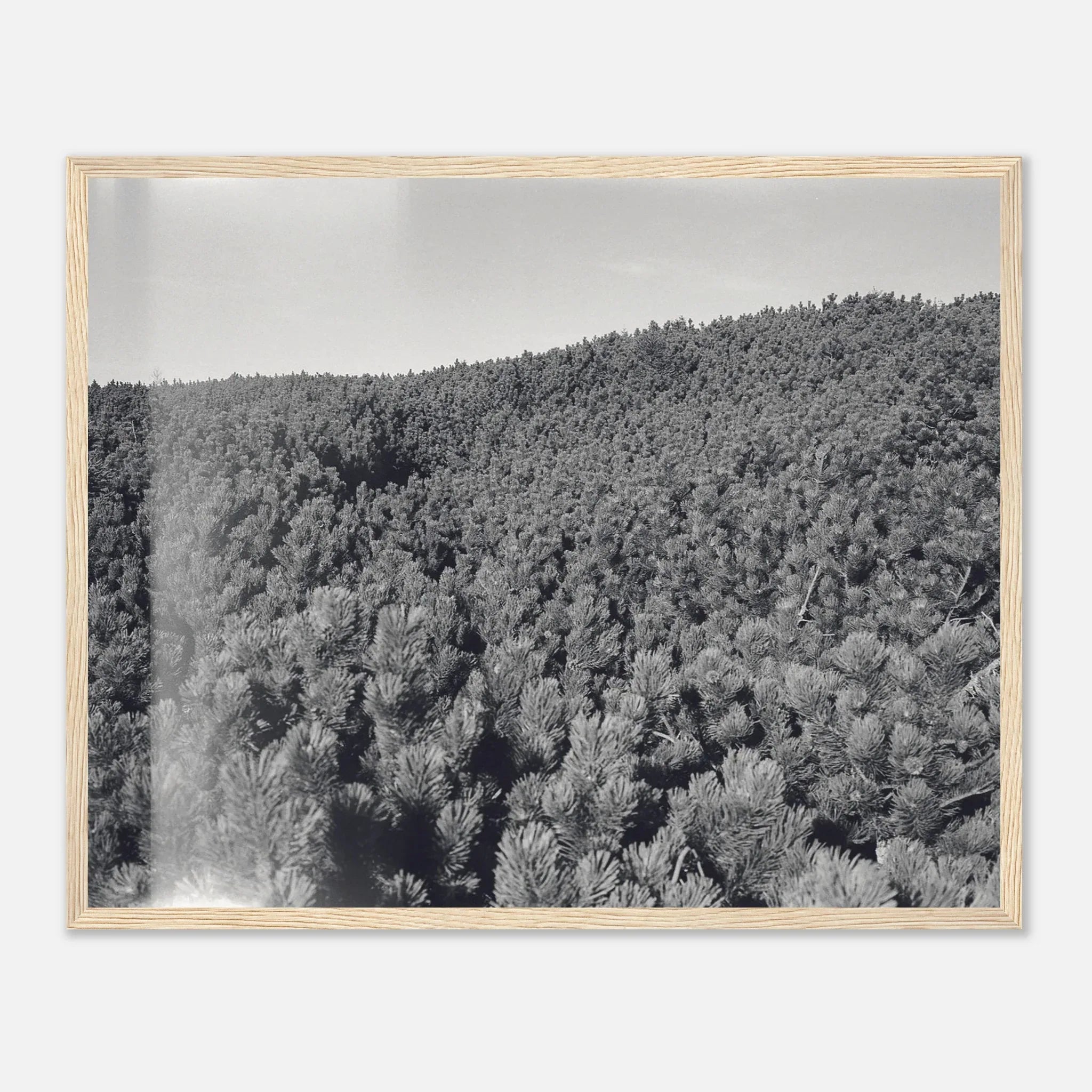 PRINTED PRINTED - www.printedprinted.com