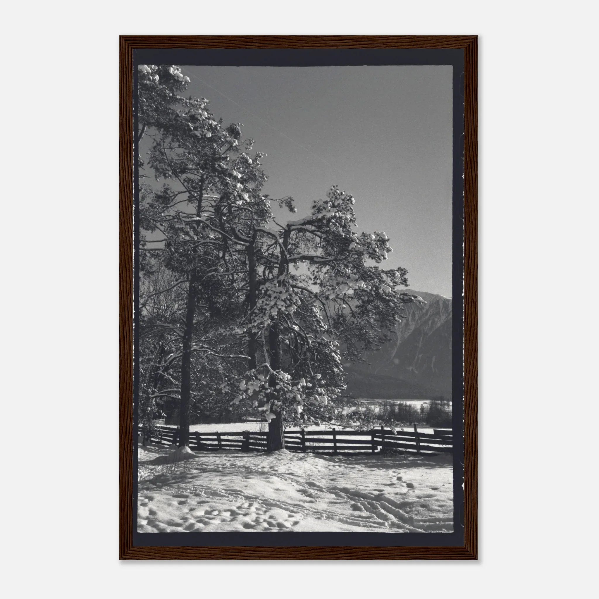 PRINTED PRINTED - www.printedprinted.com