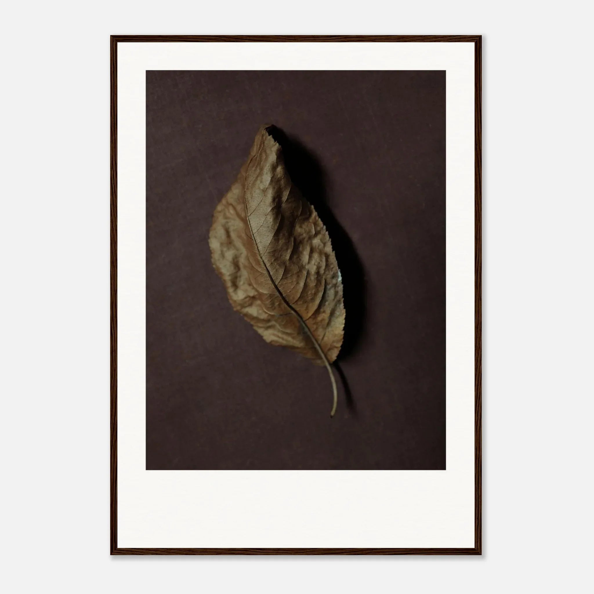 PRINTED PRINTED - www.printedprinted.com