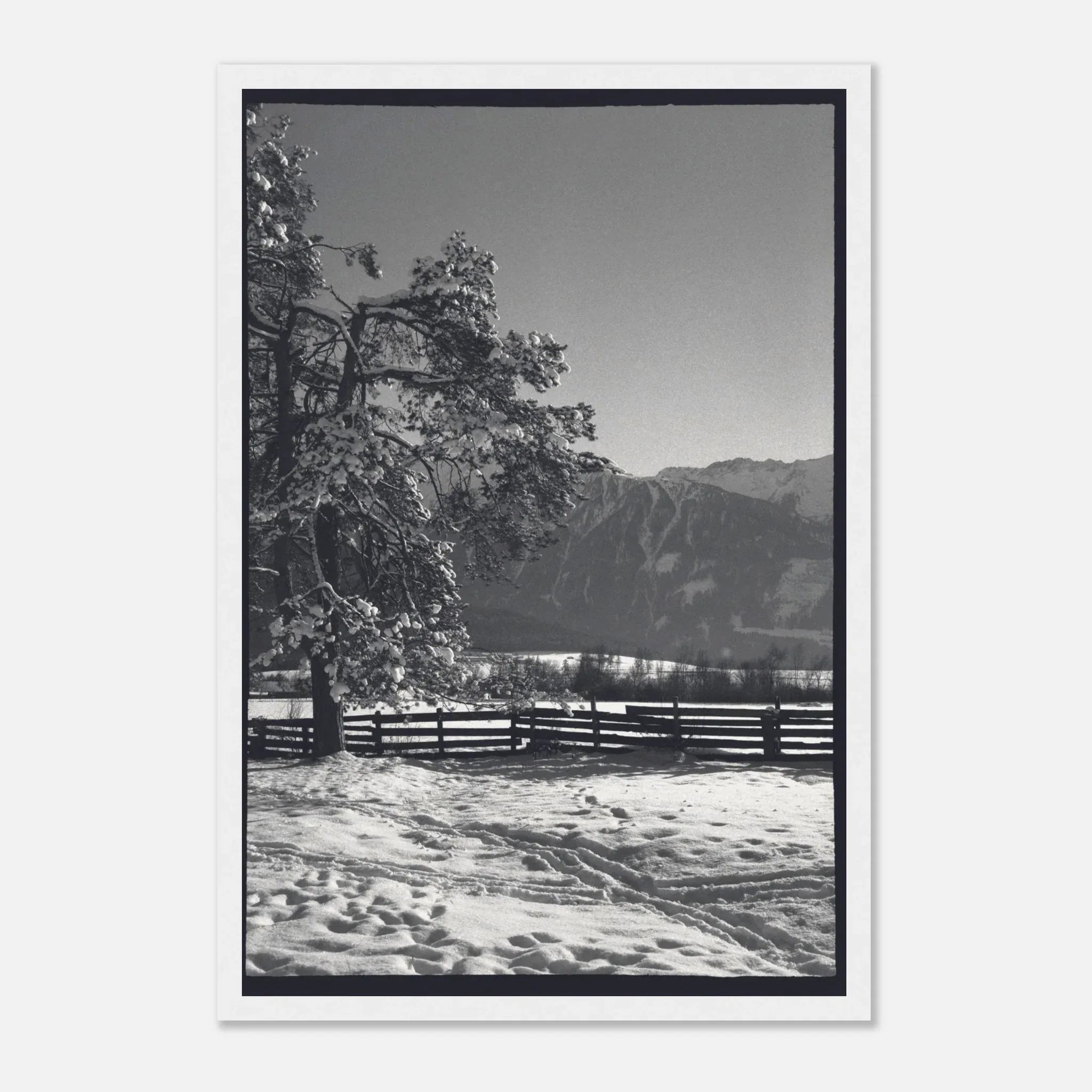 PRINTED PRINTED - www.printedprinted.com