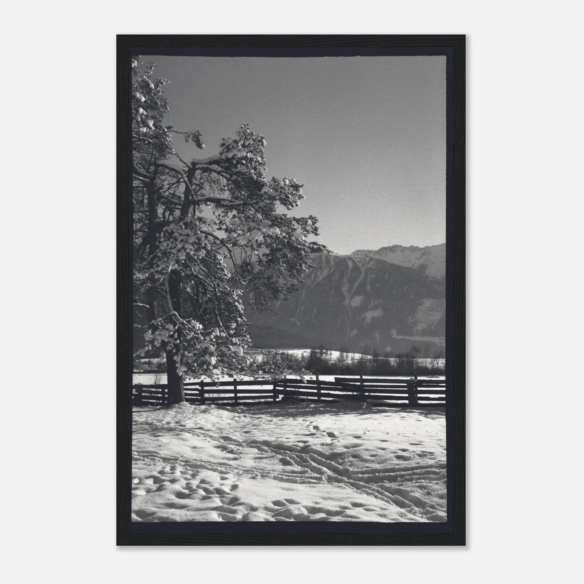 PRINTED PRINTED - www.printedprinted.com