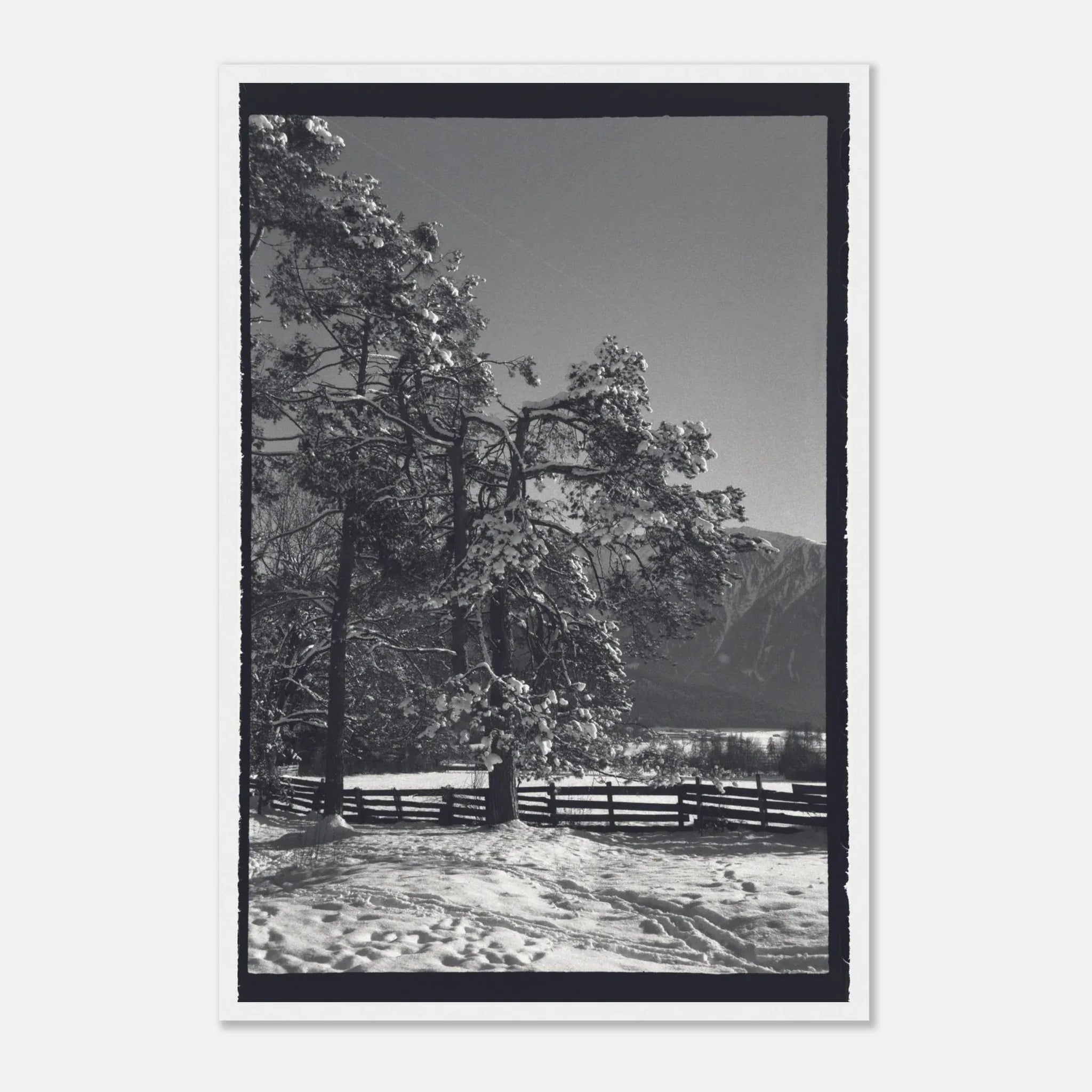 PRINTED PRINTED - www.printedprinted.com