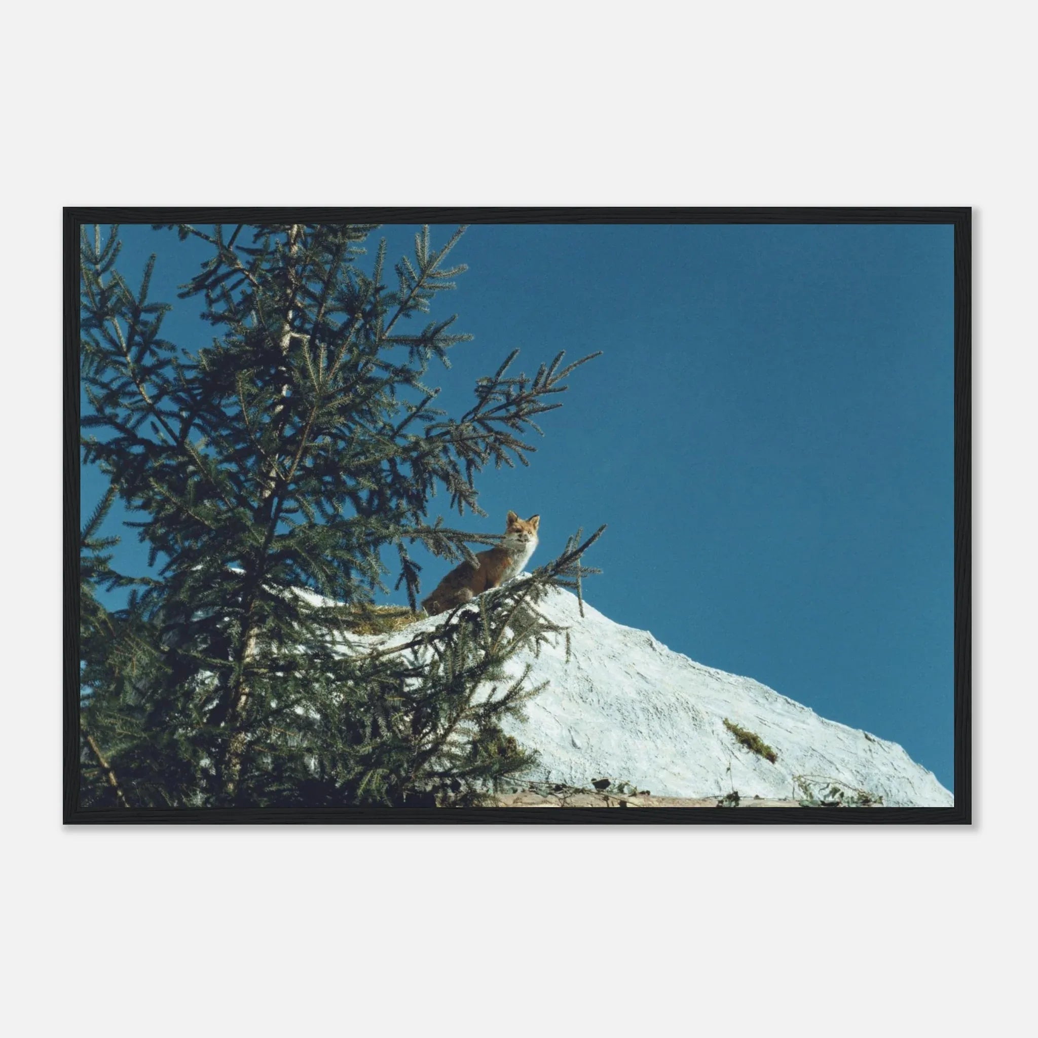 PRINTED PRINTED - www.printedprinted.com