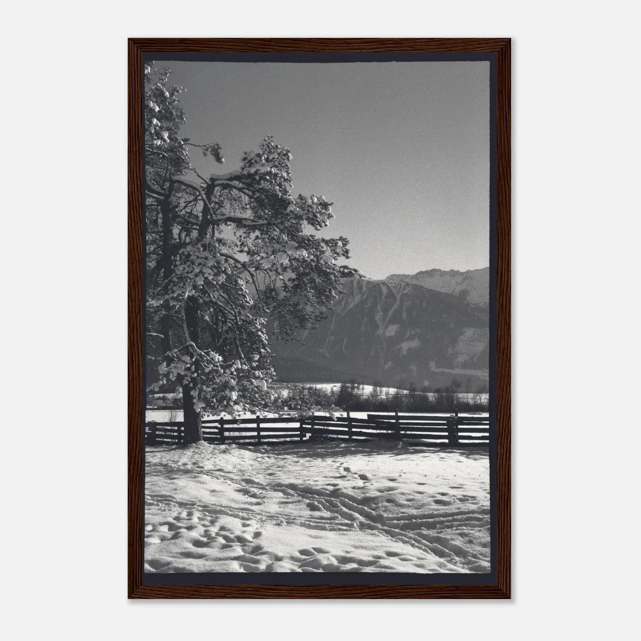 PRINTED PRINTED - www.printedprinted.com