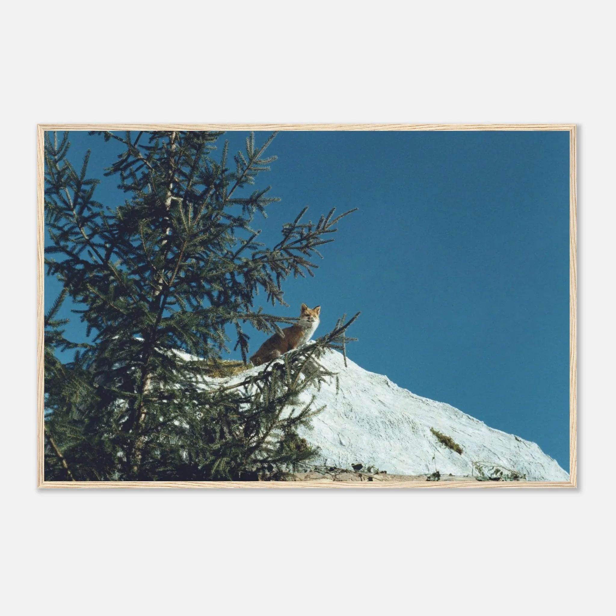 PRINTED PRINTED - www.printedprinted.com