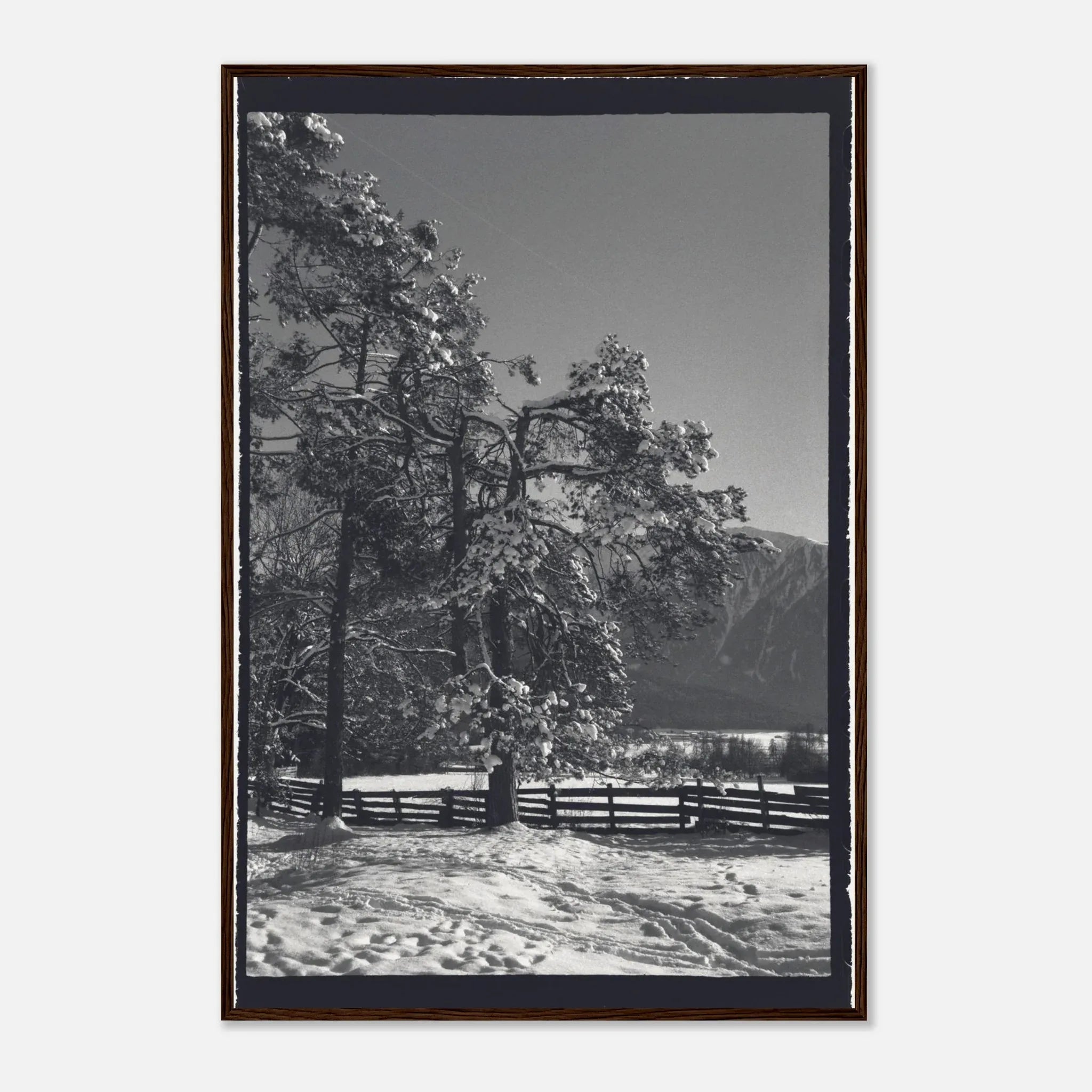 PRINTED PRINTED - www.printedprinted.com