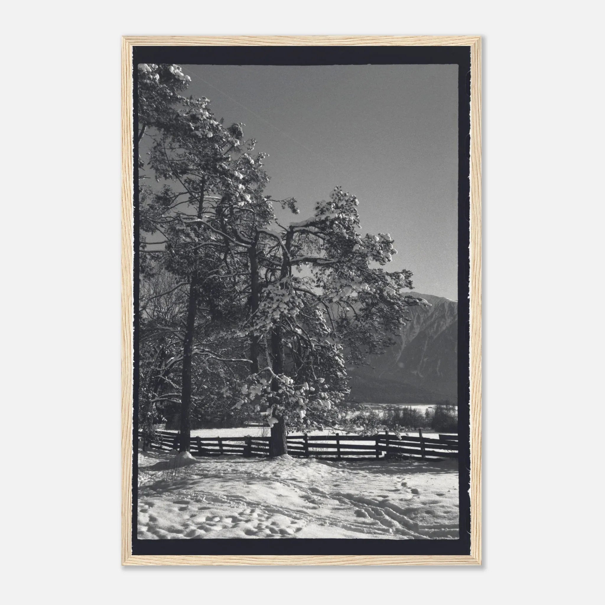 PRINTED PRINTED - www.printedprinted.com