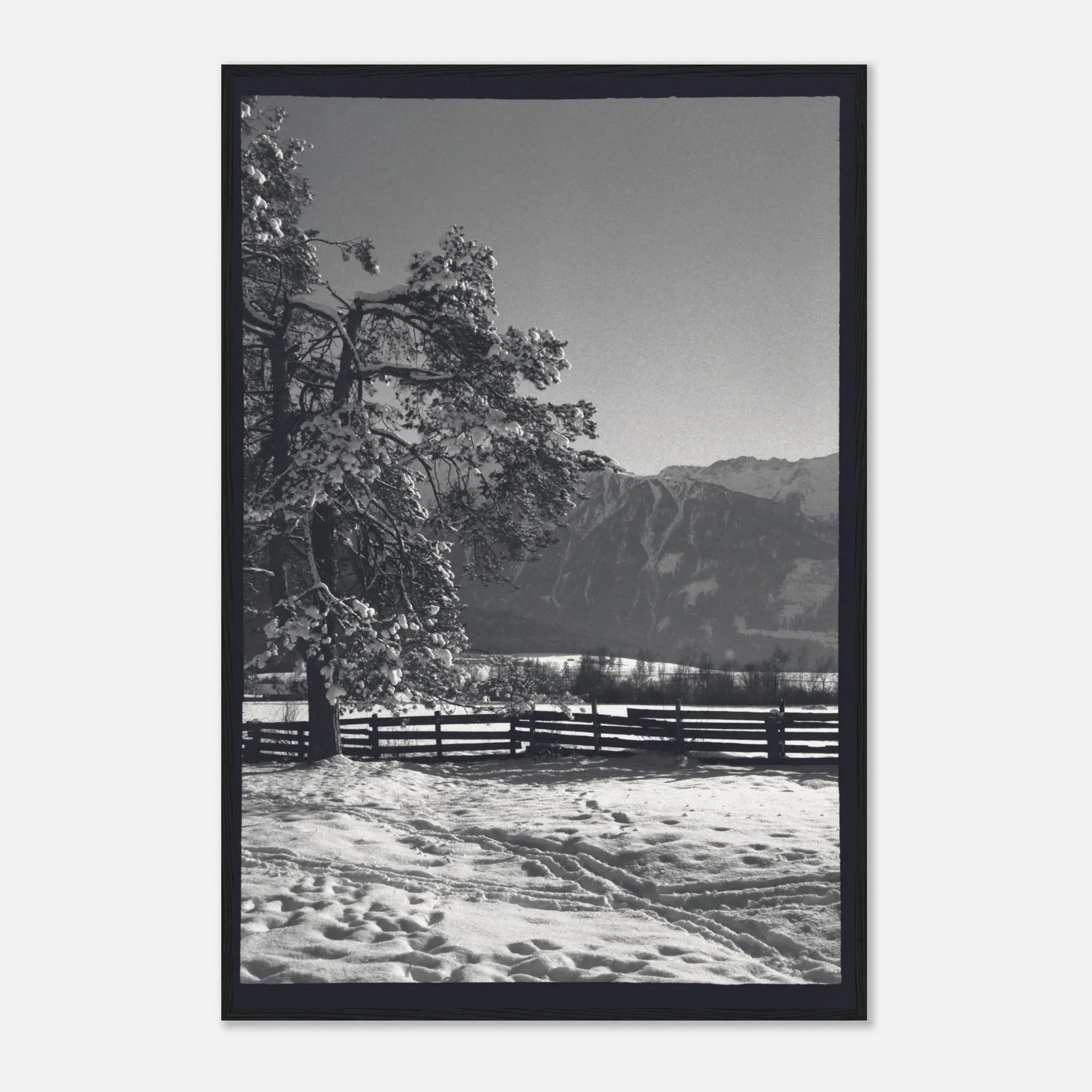 PRINTED PRINTED - www.printedprinted.com