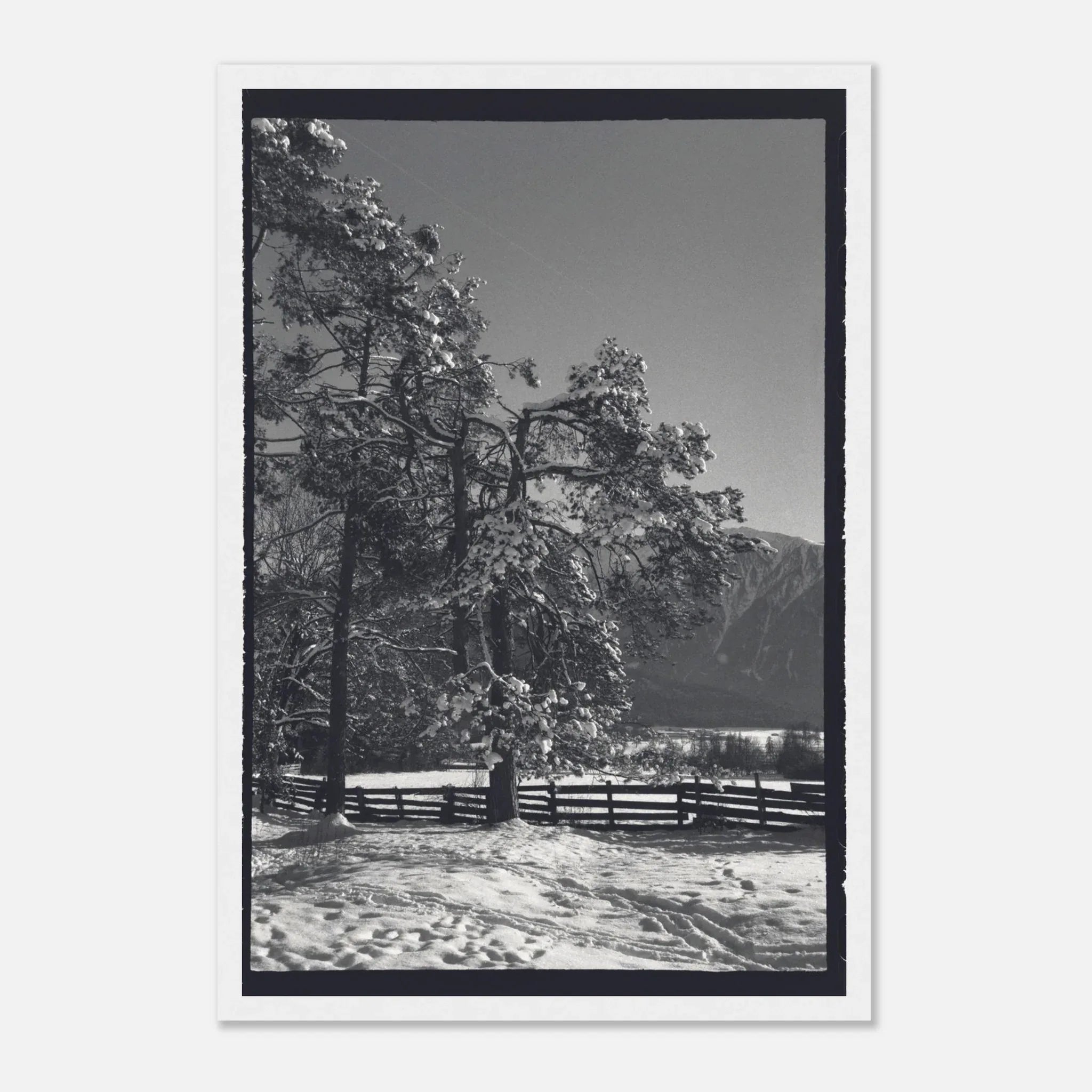 PRINTED PRINTED - www.printedprinted.com