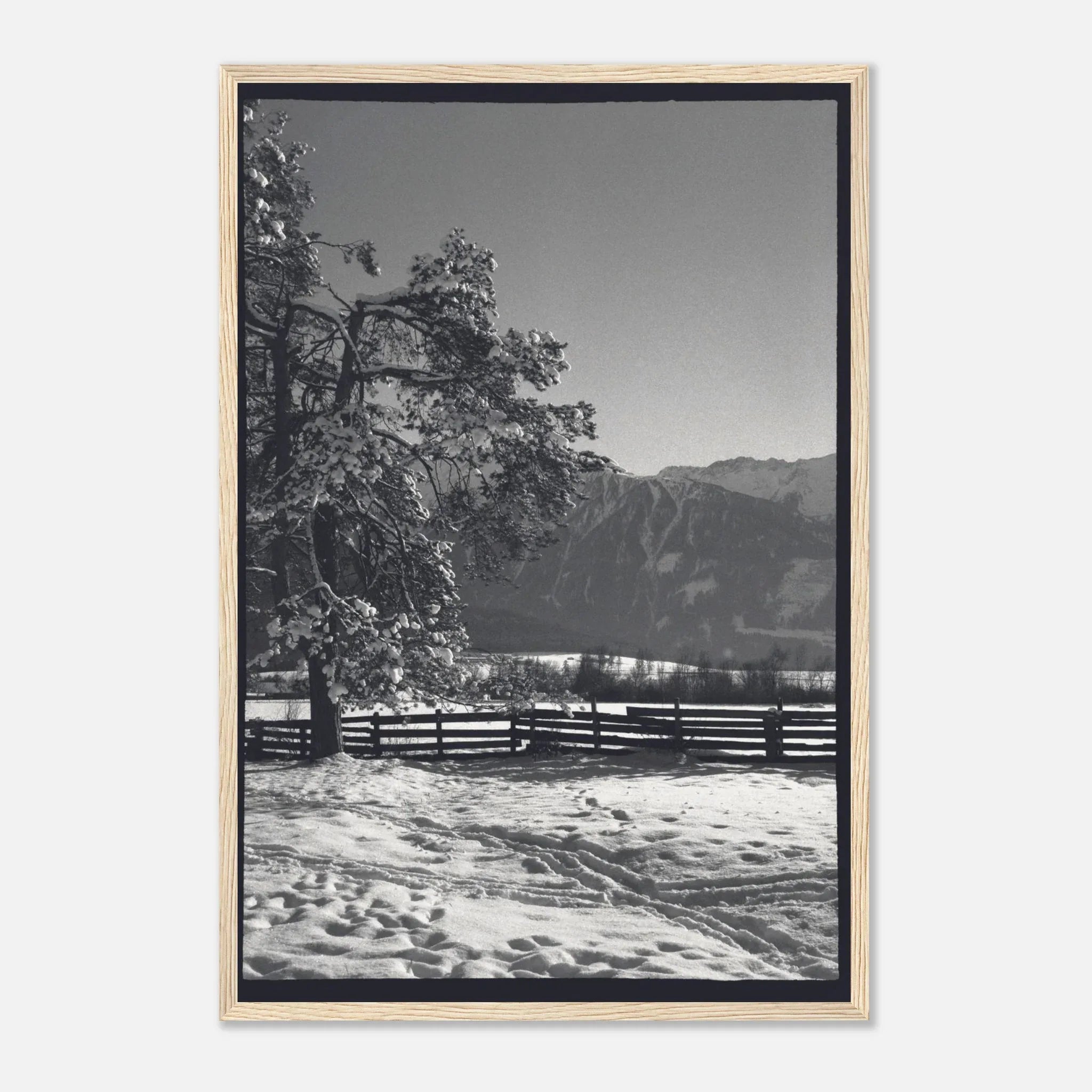 PRINTED PRINTED - www.printedprinted.com