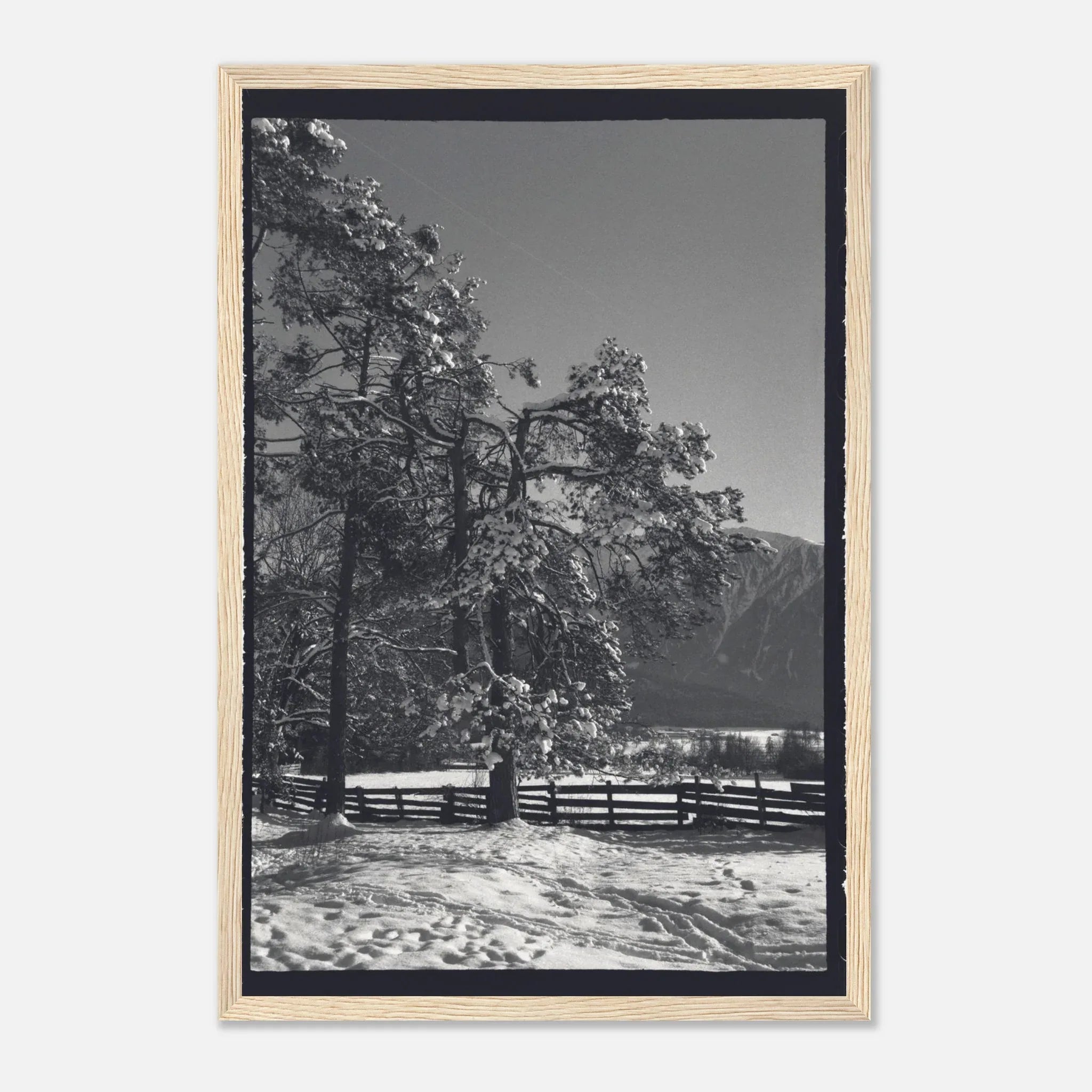 PRINTED PRINTED - www.printedprinted.com