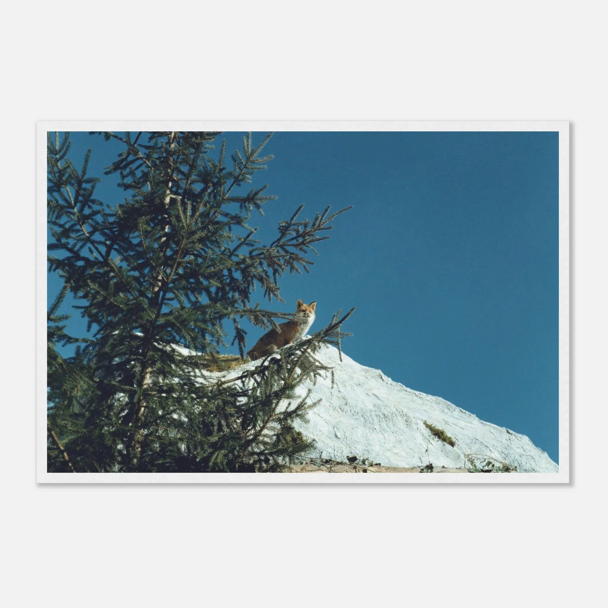 PRINTED PRINTED - www.printedprinted.com