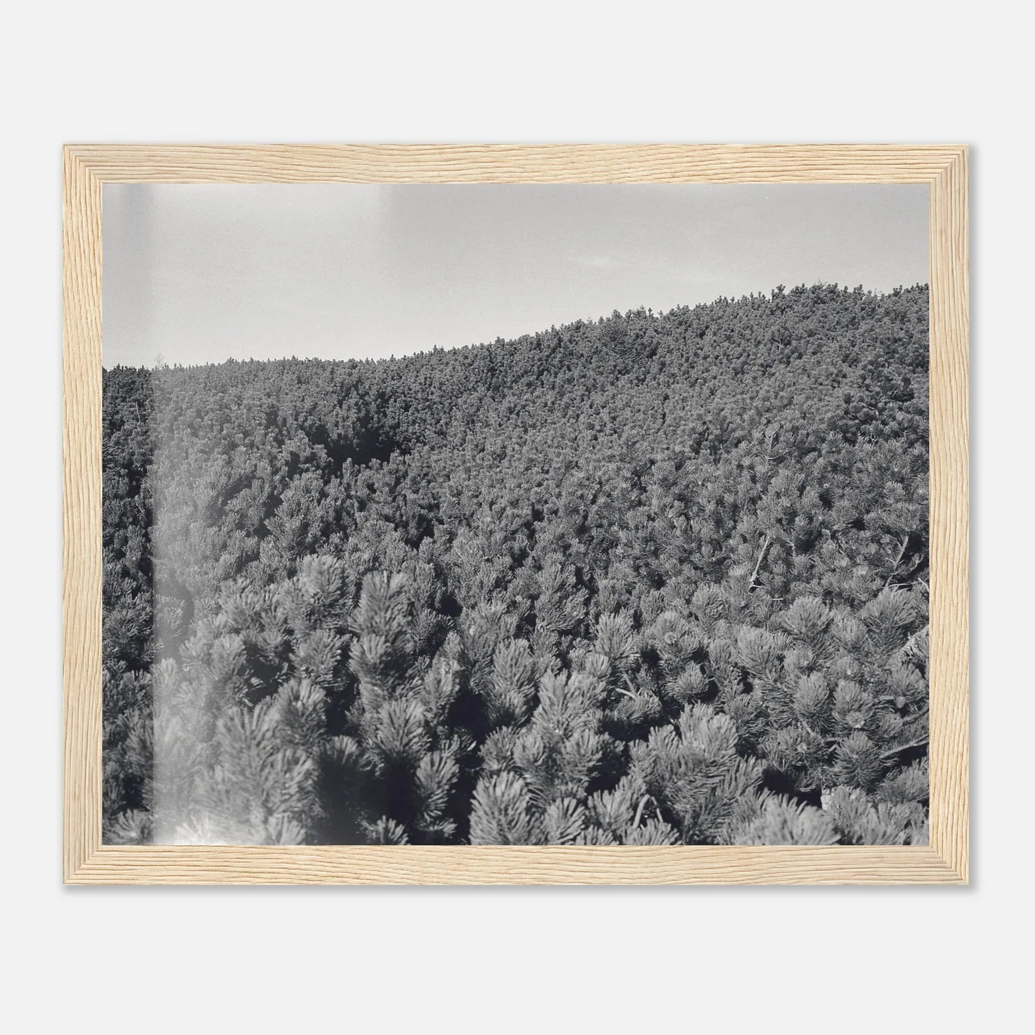 PRINTED PRINTED - www.printedprinted.com