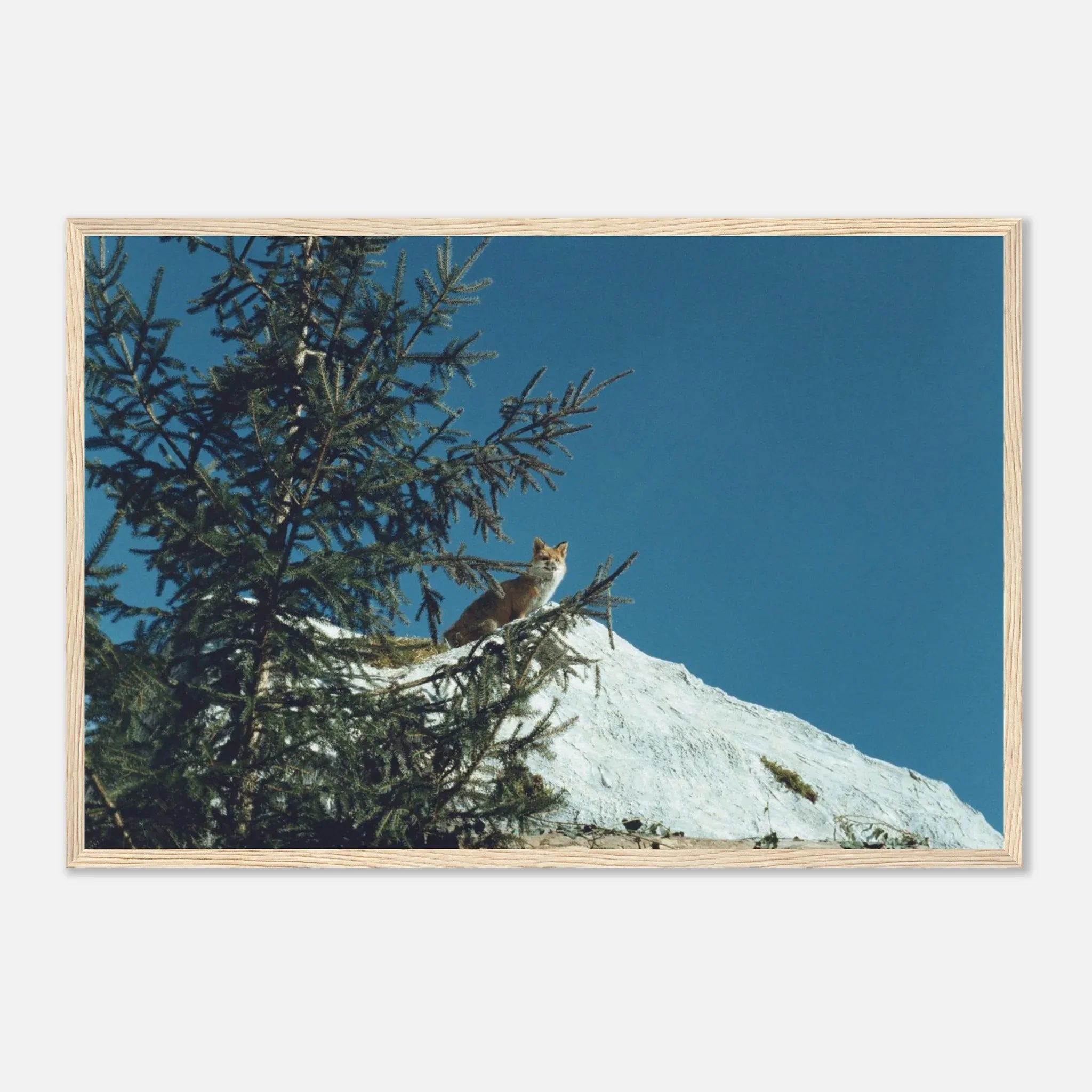 PRINTED PRINTED - www.printedprinted.com