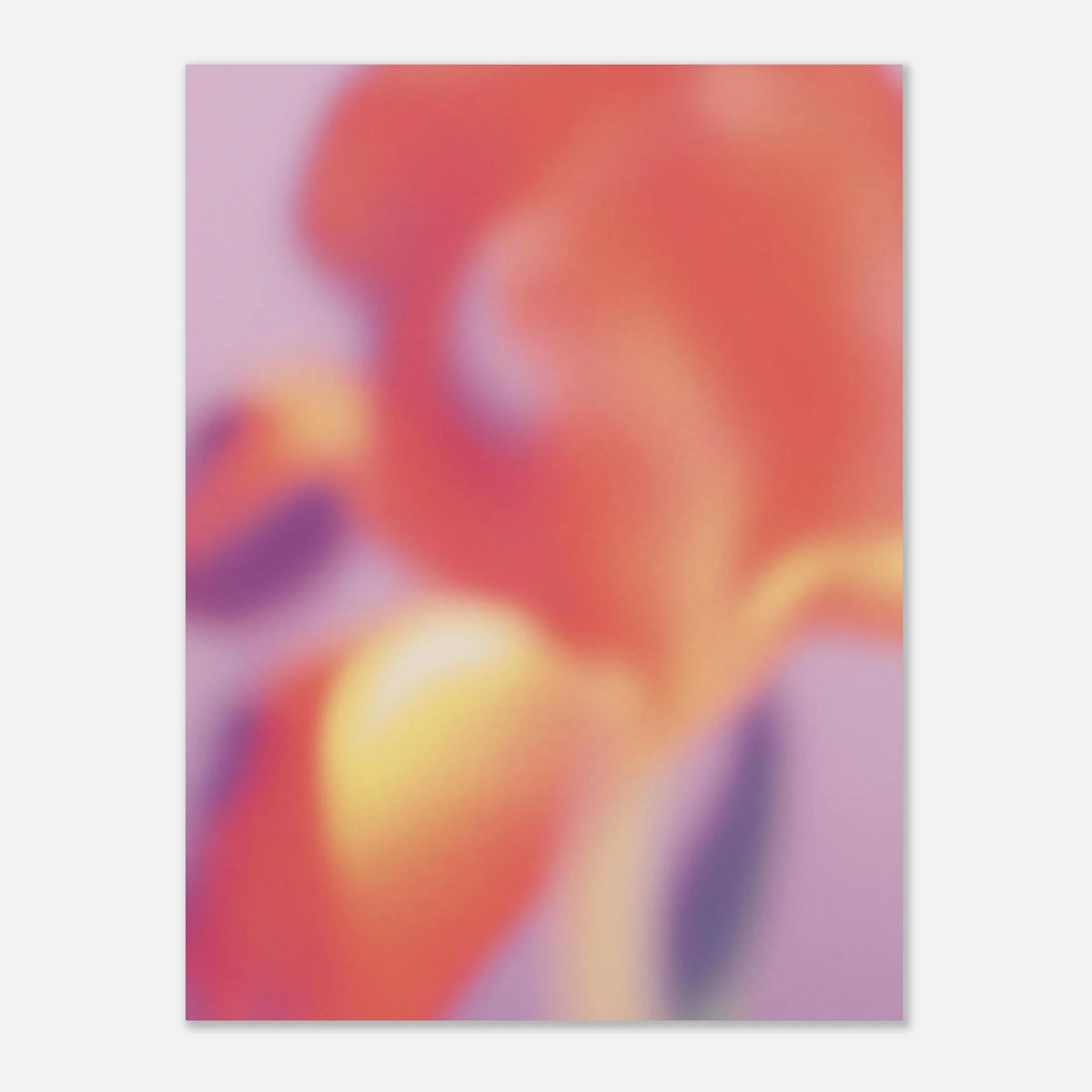 d9905872-aab5-4e36-8f78-f00c1dd0ecdd