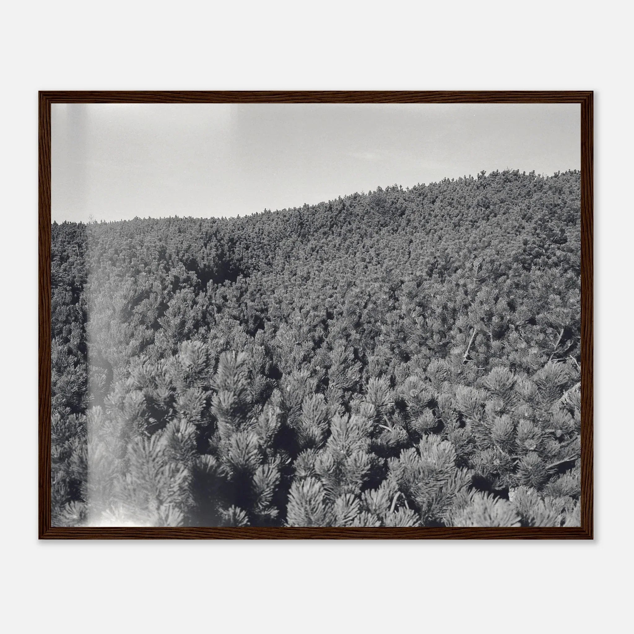 PRINTED PRINTED - www.printedprinted.com