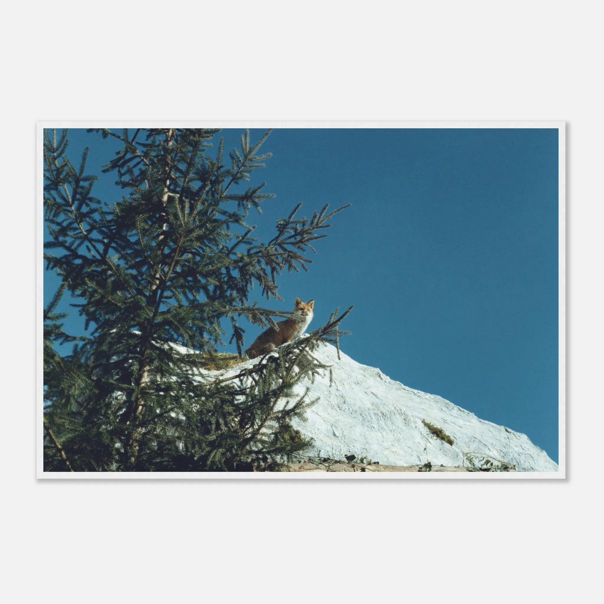 PRINTED PRINTED - www.printedprinted.com