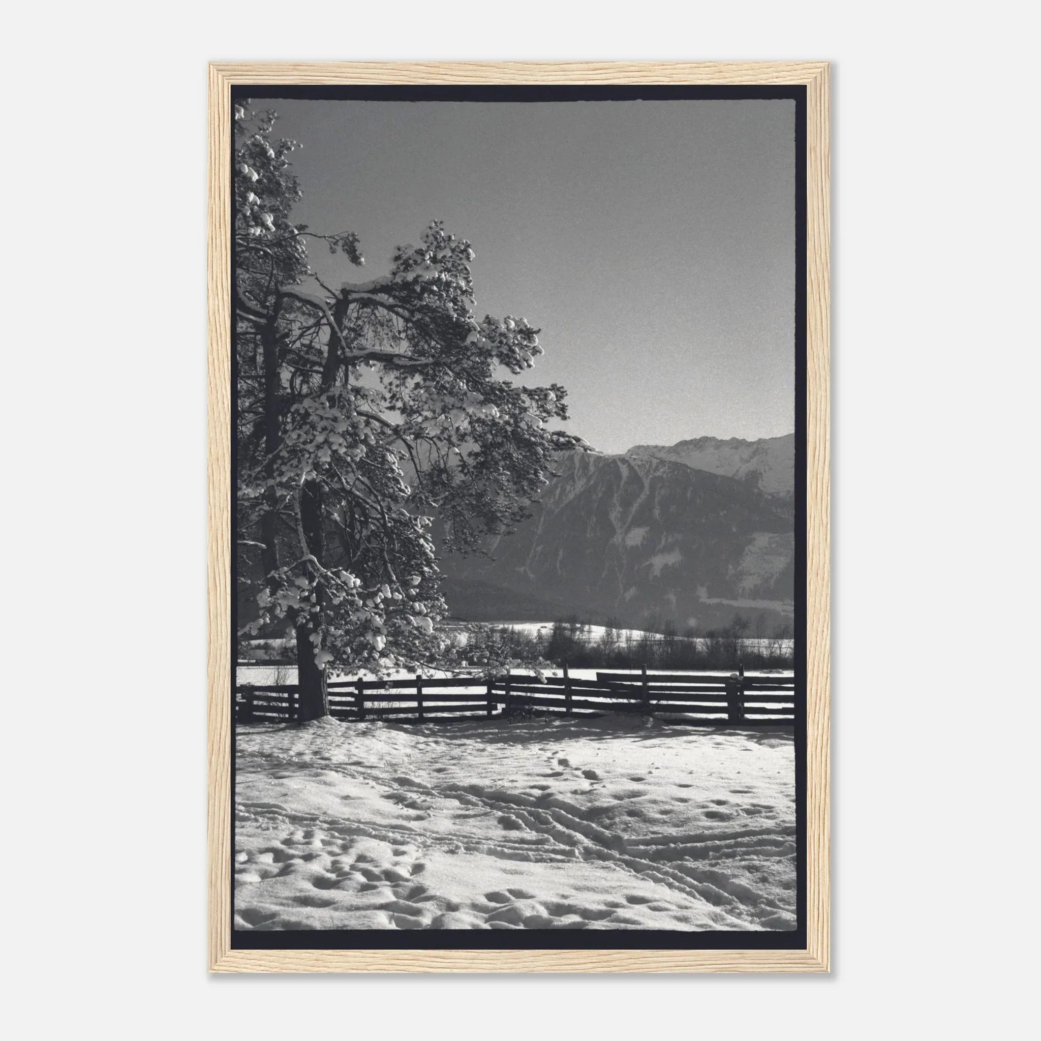 PRINTED PRINTED - www.printedprinted.com