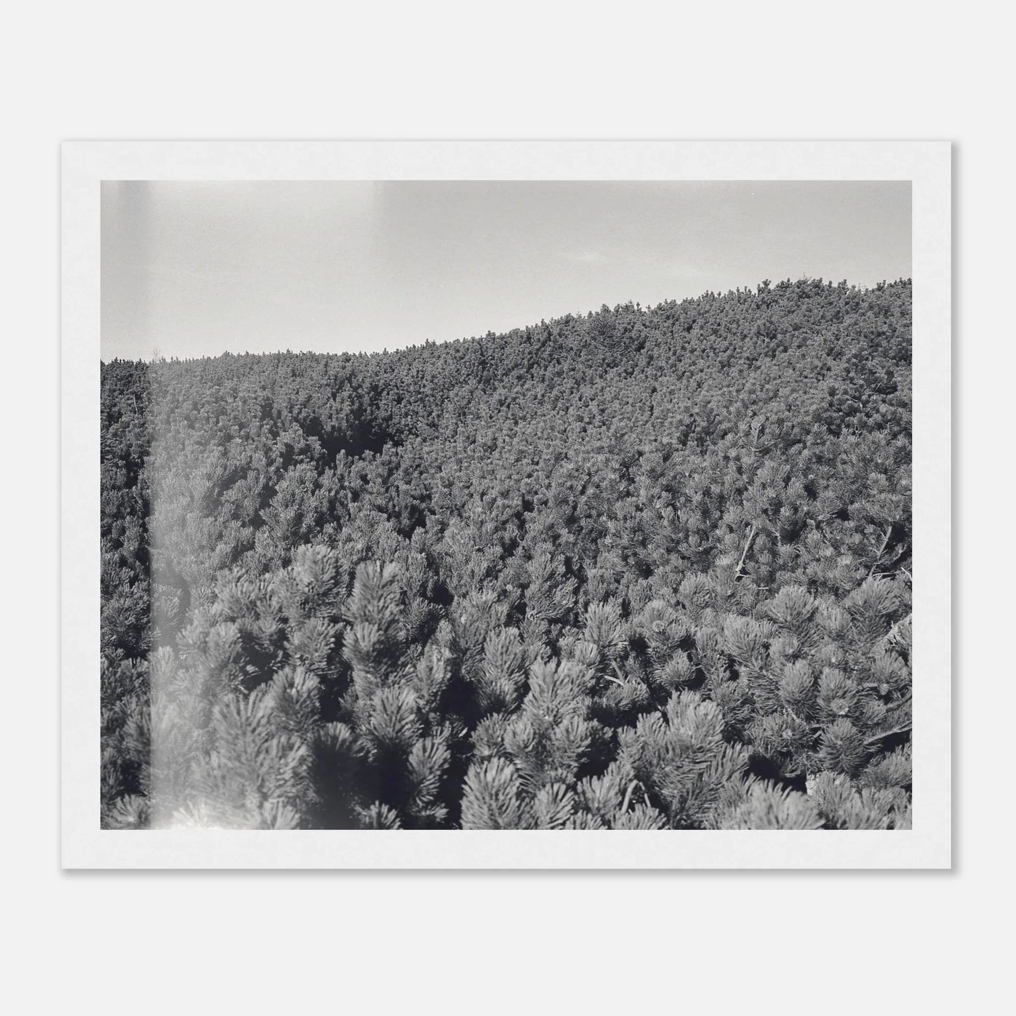 PRINTED PRINTED - www.printedprinted.com