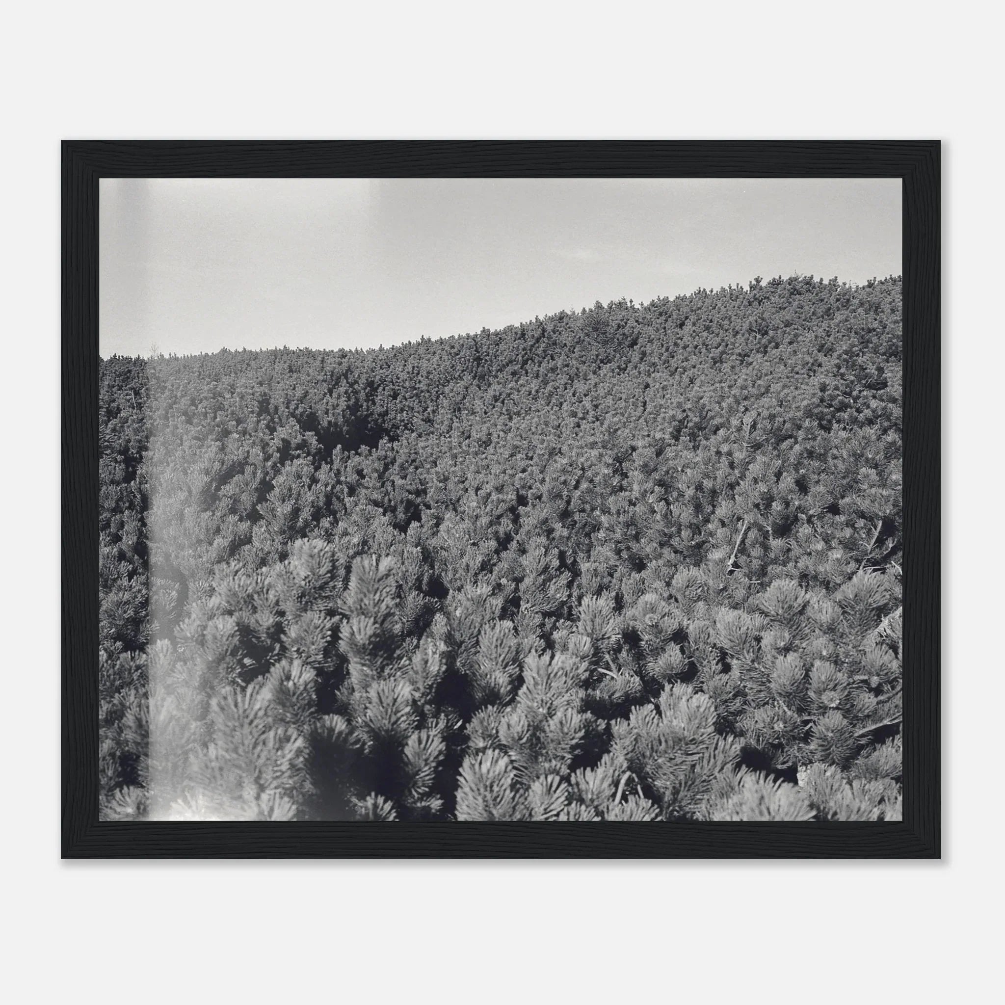 PRINTED PRINTED - www.printedprinted.com