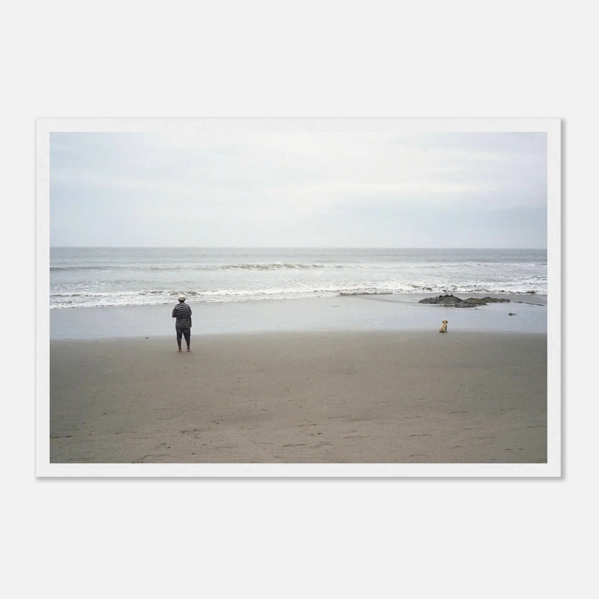 PRINTED PRINTED - www.printedprinted.com