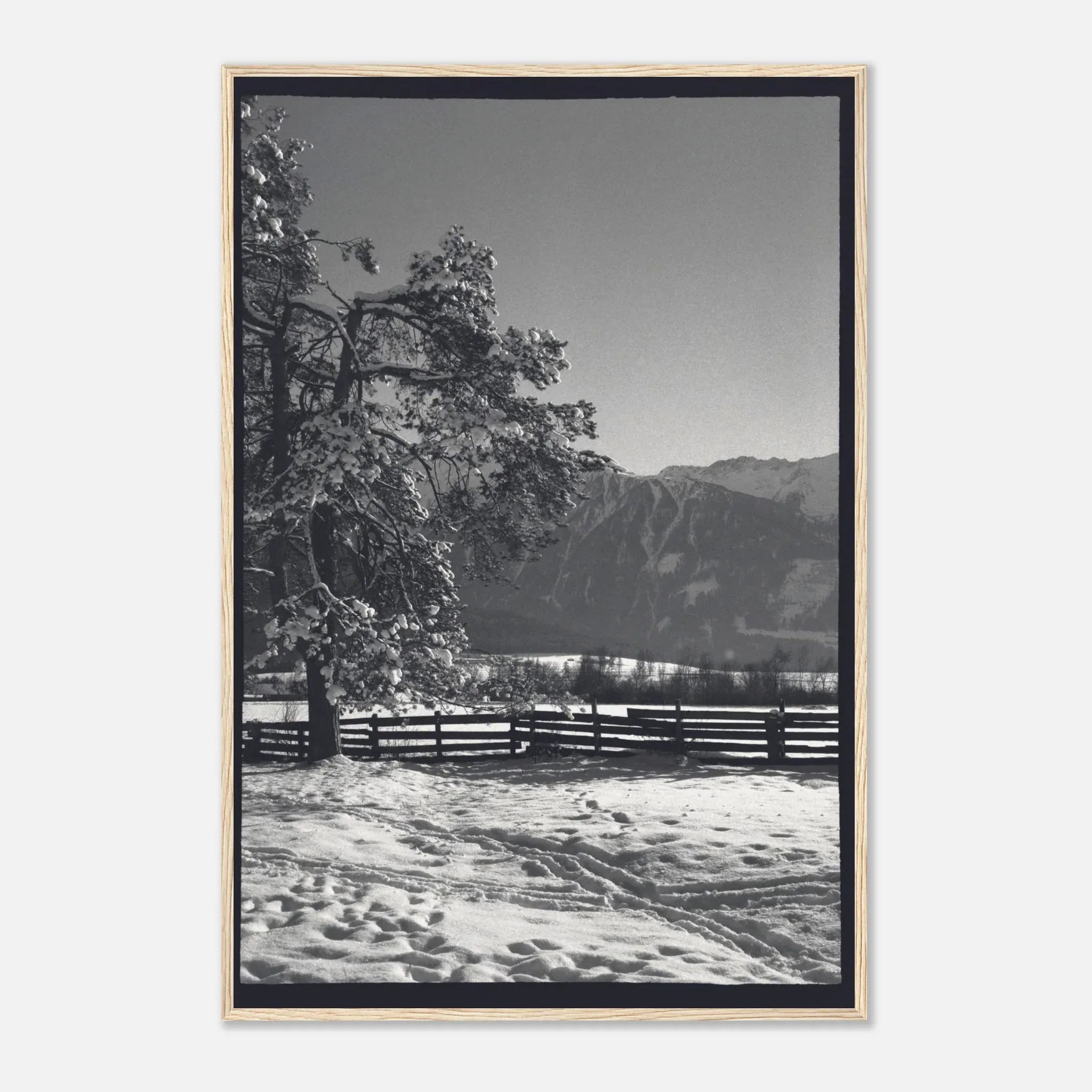 PRINTED PRINTED - www.printedprinted.com